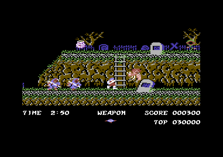 File:Ghost'n Goblins 1994 Level1.png