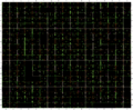 Thumbnail for version as of 23:36, 10 March 2023