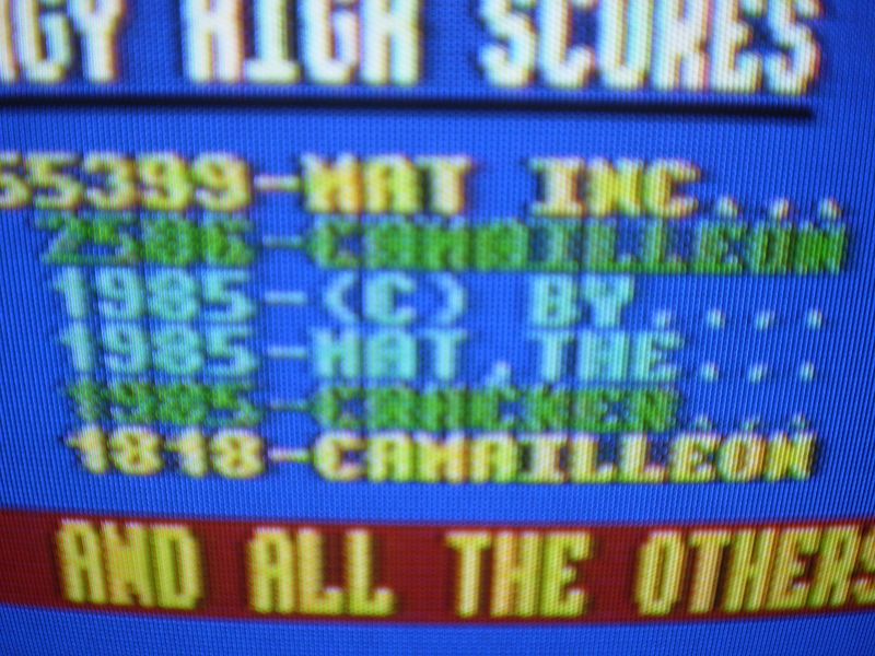 File:Cami High Thingonaspring.JPG