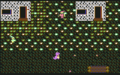 Thumbnail for version as of 00:58, 25 July 2008