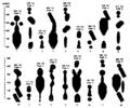 Thumbnail for version as of 03:23, 5 May 2009